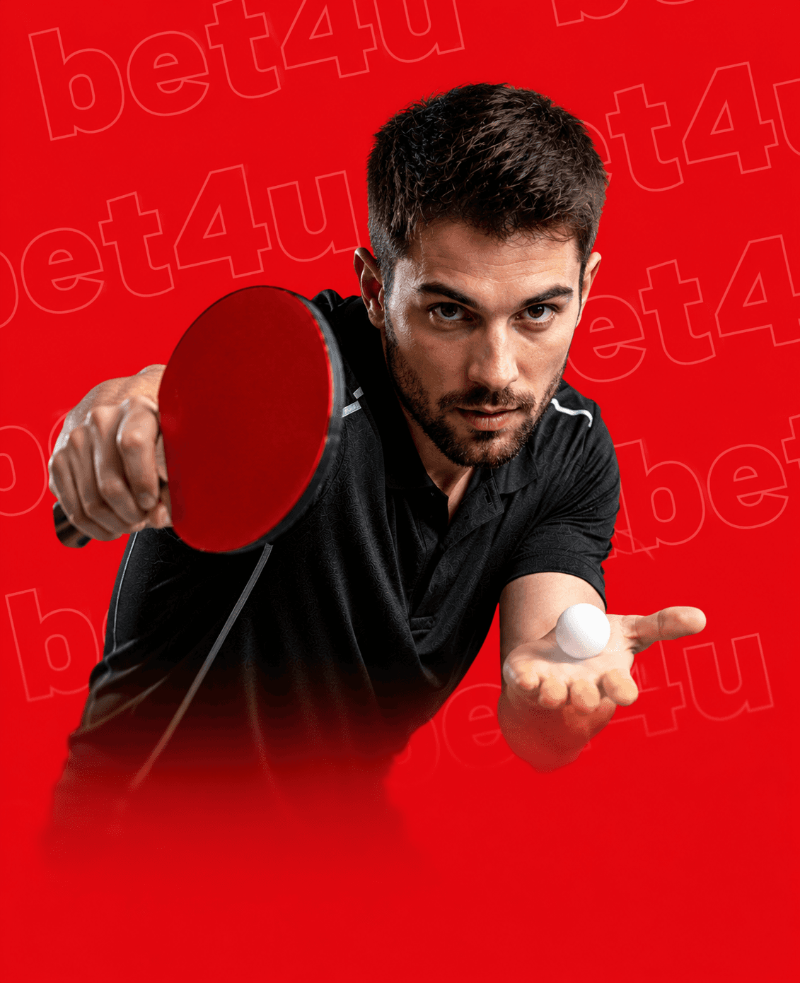 טניס שולחן